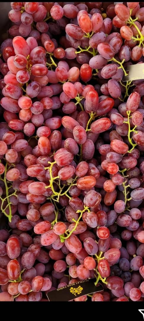 کریمسون سیدلس